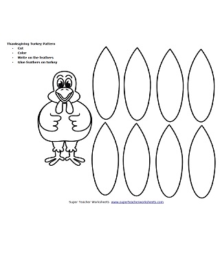 Turkey Pattern - Thanksgiving 火鸡图案-感恩节