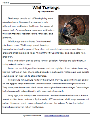 Thanksgiving Reading Non-Fiction: Worksheet 感恩节阅读非小说:工作表